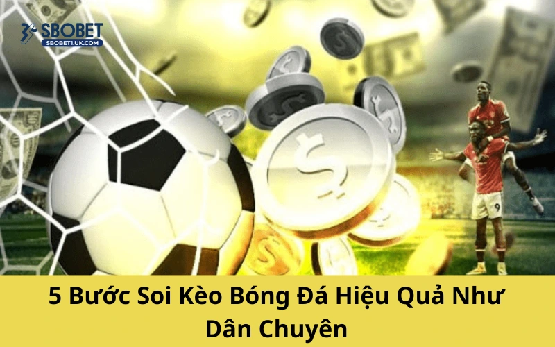 5 Bước Soi Kèo Bóng Đá Hiệu Quả Như Dân Chuyên