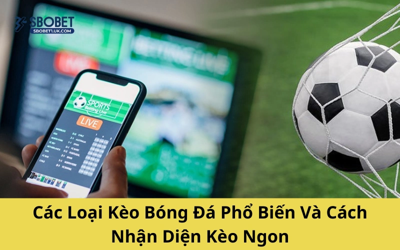 Các Loại Kèo Bóng Đá Phổ Biến Và Cách Nhận Diện Kèo Ngon