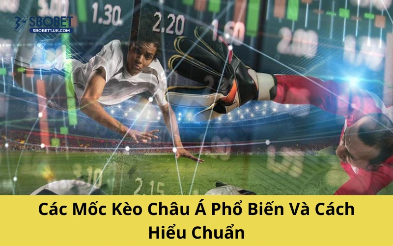 Các Mốc Kèo Châu Á Phổ Biến Và Cách Hiểu Chuẩn