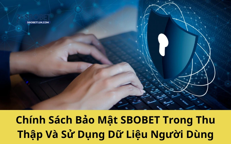 Chính sách bảo mật trong thu thập và sử dụng dữ liệu người dùng