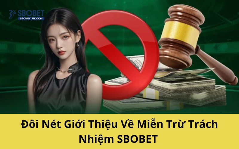 Đôi nét giới thiệu về miễn trừ trách nhiệm