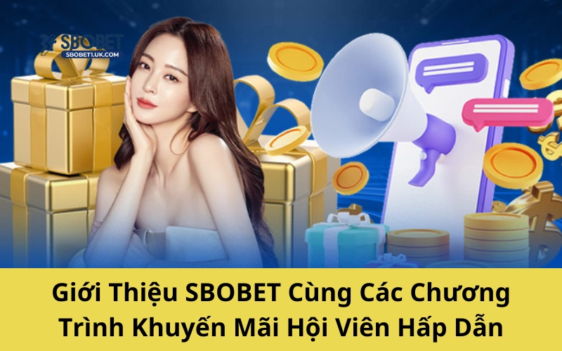 Các chương trình ưu đãi hấp dẫn dành cho hội viên