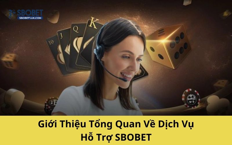 Giới Thiệu Tổng Quan Về Dịch Vụ Hỗ Trợ SBOBET