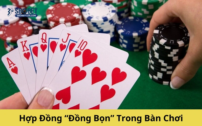 Hợp Đồng “Đồng Bọn” Trong Bàn Chơi