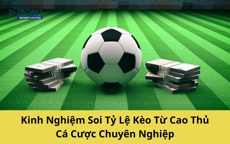 Kinh Nghiệm Soi Tỷ Lệ Kèo Từ Cao Thủ Cá Cược Chuyên Nghiệp