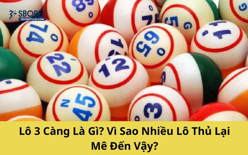 Lô 3 Càng Là Gì? Vì Sao Nhiều Lô Thủ Lại Mê Đến Vậy?