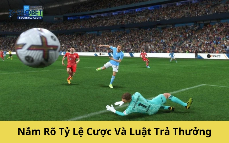 Nắm Rõ Tỷ Lệ Cược Và Luật Trả Thưởng