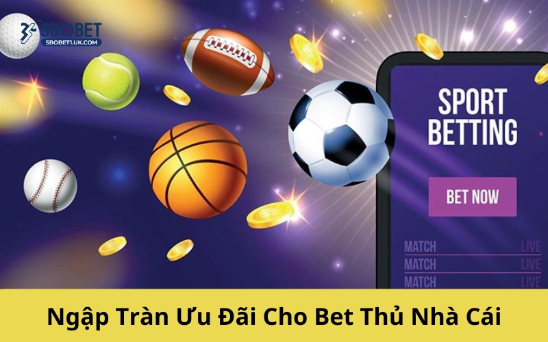 Ngập Tràn Ưu Đãi Cho Bet Thủ Nhà Cái