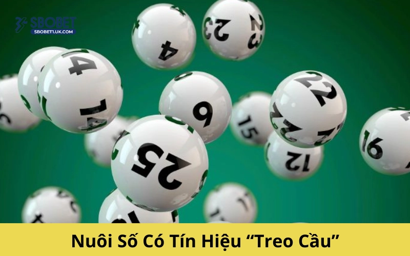 Nuôi Số Có Tín Hiệu “Treo Cầu”