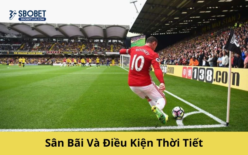 Sân Bãi Và Điều Kiện Thời Tiết