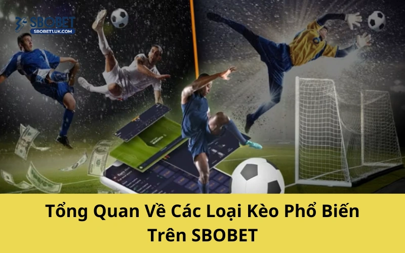 Tổng Quan Về Các Loại Kèo Phổ Biến Trên SBOBET