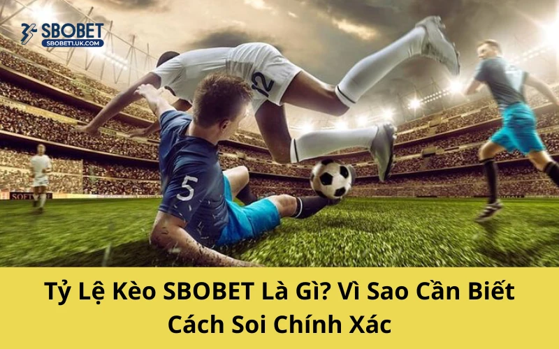 Tỷ Lệ Kèo SBOBET Là Gì? Vì Sao Cần Biết Cách Soi Chính Xác
