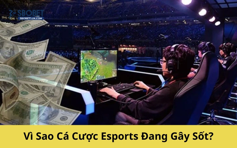 Vì Sao Cá Cược Esports Đang Gây Sốt?