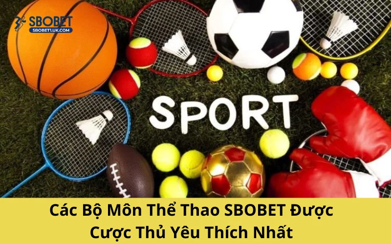 Các Bộ Môn Thể Thao SBOBET Được Cược Thủ Yêu Thích Nhất