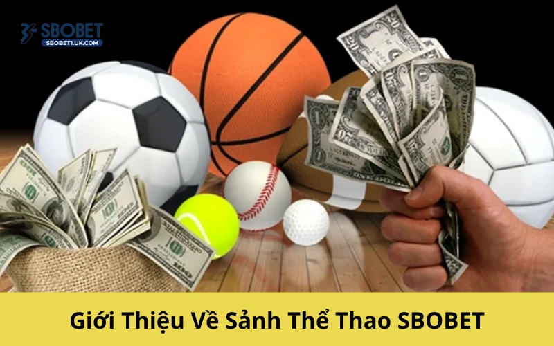 Giới Thiệu Về Sảnh Thể Thao SBOBET